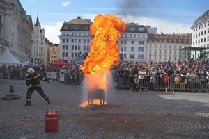 Sorry, nicht gefunden