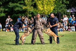 Sorry, nicht gefunden