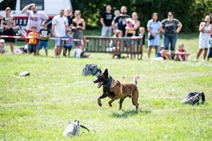 Sorry, nicht gefunden